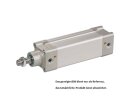 Normzylinder KDI-080-1000-A-PPV-M