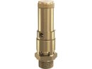 Safety valve SV-810-B-G3 / 8a-DO10-MS FKM / PTFE 0.2 / 50-CE