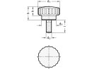 RVS kartelschroef, diameter 24 mm, mat gestraald, M6x20 mm