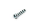 DIN 7984 galvanized cheese head screw with hexagon socket and low head, 8.8,