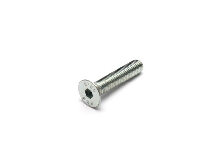 DIN 7984 cylinder screws hex IMBUS Low Head Stainless Steel a4 