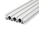 Aluminiumprofil 20x80 L I Typ Nut 5 leicht Alu Profil silber eloxiert - Standardlänge  200mm