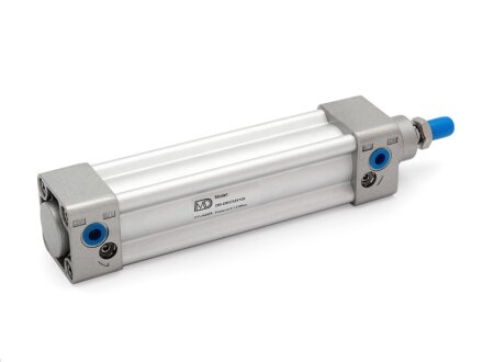 Pneumatische cilinder DM - C32 X 100 zuiger diameter: 32 mm slag: 100 mm