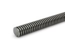 Precision trapezoidal thread spindle RPTS 16x4 links - 1...