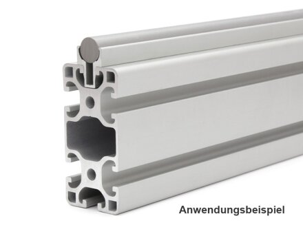 Aluminiumprofil 40x16E I-Typ Nut 8 Zuschnitt 50mm-2000mm 50mm 6,50 EUR/m + 0,25 EUR pro Schnitt, min. 2,50 EUR