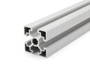 Aluminiumprofil 45x45 L B-Typ Nut 10 leicht silber eloxiert Alu Profil - Standardlänge  100mm