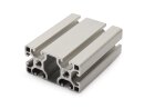 Aluminiumprofil 40x80L I-Typ Nut 8 (leicht) - 100mm...