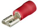Flat receptacles red (100x)