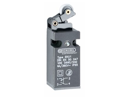 Limit switch with lever